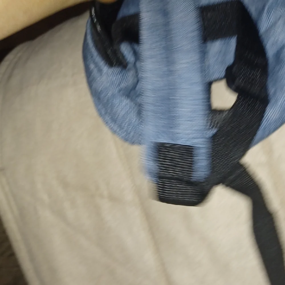 Blue and Yellow Pet Backpack